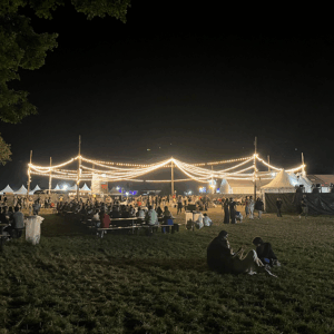 Guirlandes lumineuses 25m